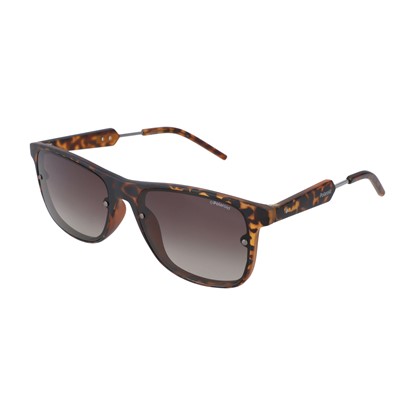 Picture of Polaroid Unisex Accessories Pld6018s Brown